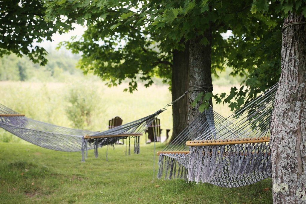 Hammocks tied to trees.