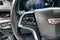 2020 Cadillac Escalade Platinum Edition