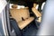 2026 Cadillac ESCALADE IQ Premium Sport