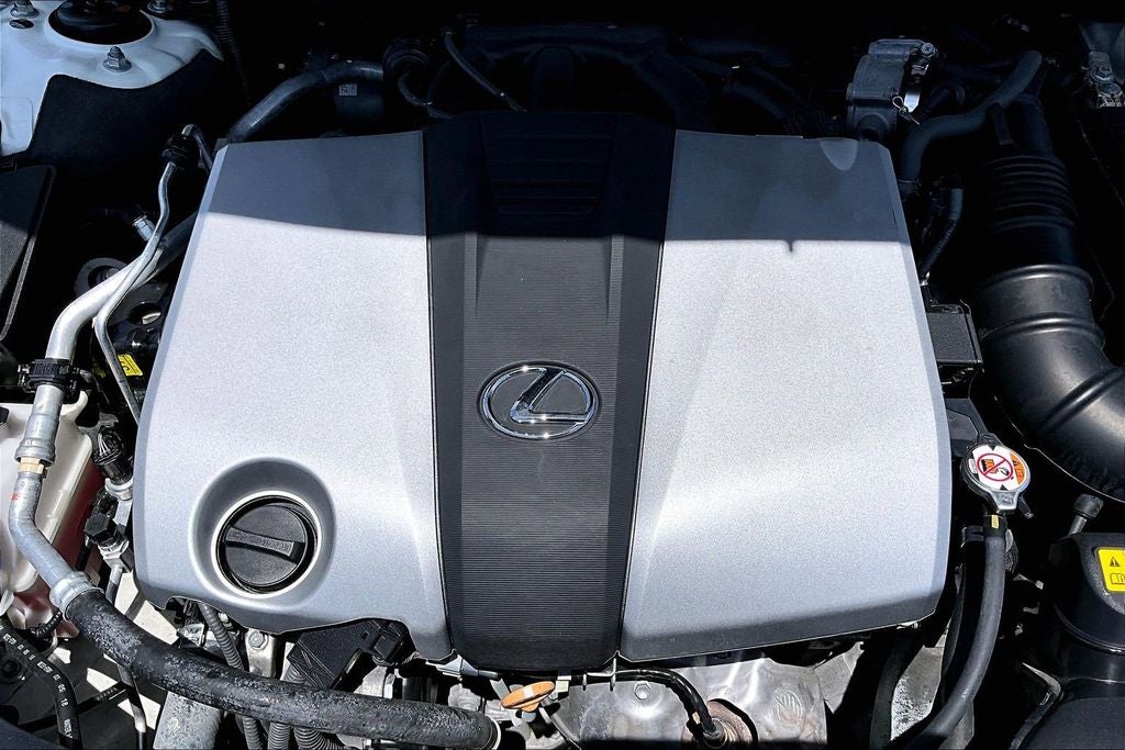 2019 Lexus ES 350 Luxury