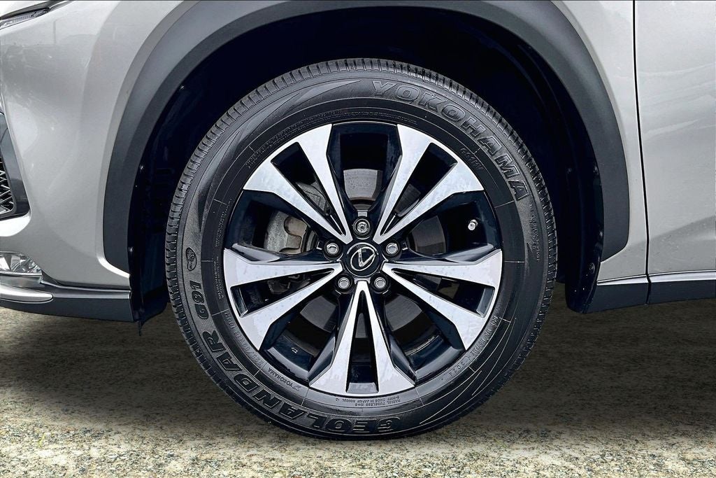 2021 Lexus NX 300 F Sport